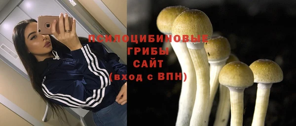 ALPHA PVP Новодвинск