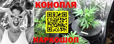 спиды Гусь-Хрустальный