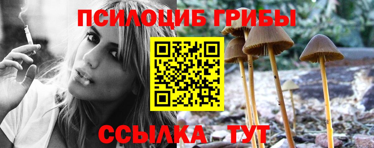 Псилоцибиновые грибы мицелий  Галлюциногенные грибы Magic Shrooms  Вход с VPN  Кострома 